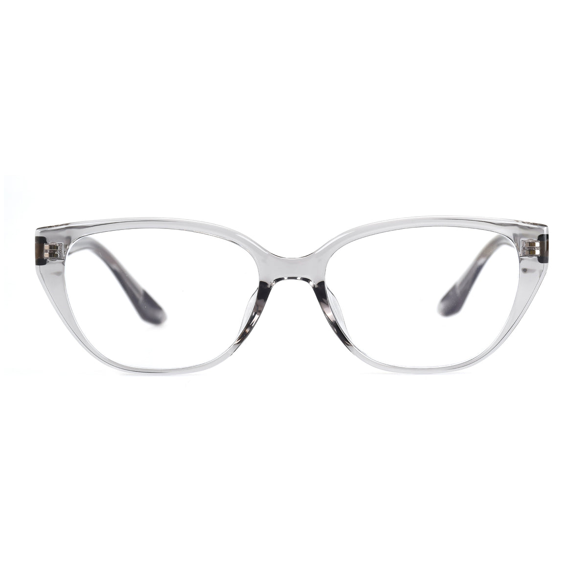 Zaniah Transparent Gray silmälasikehykset